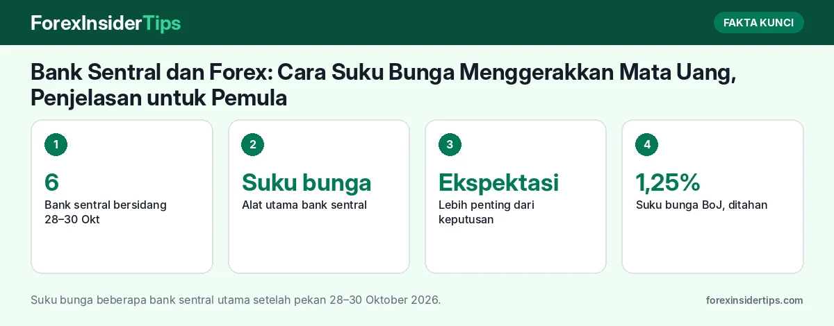 Fakta kunci: Bank Sentral dan Forex: Cara Suku Bunga Menggerakkan Mata Uang, Penjelasan untuk Pemula